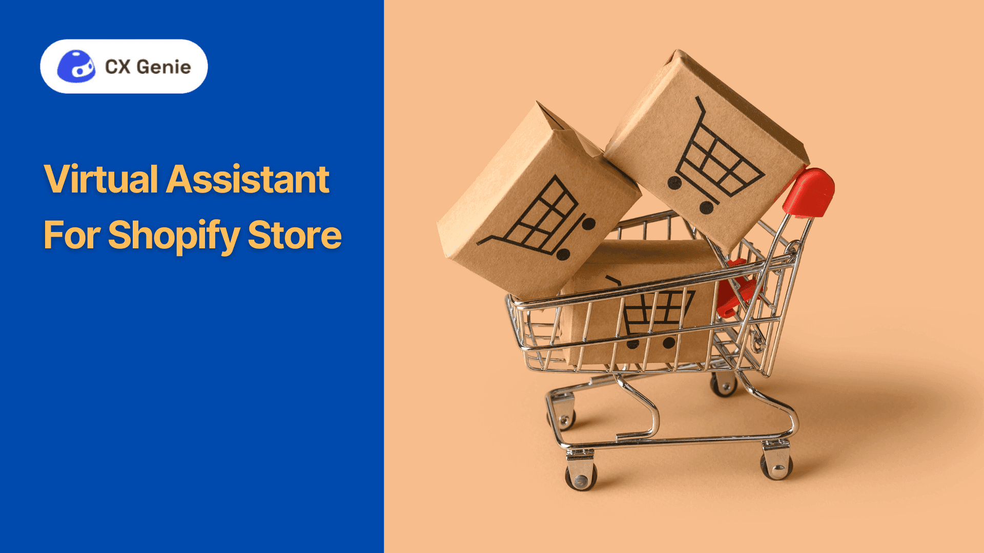 Virtual Assistant For Shopify Store