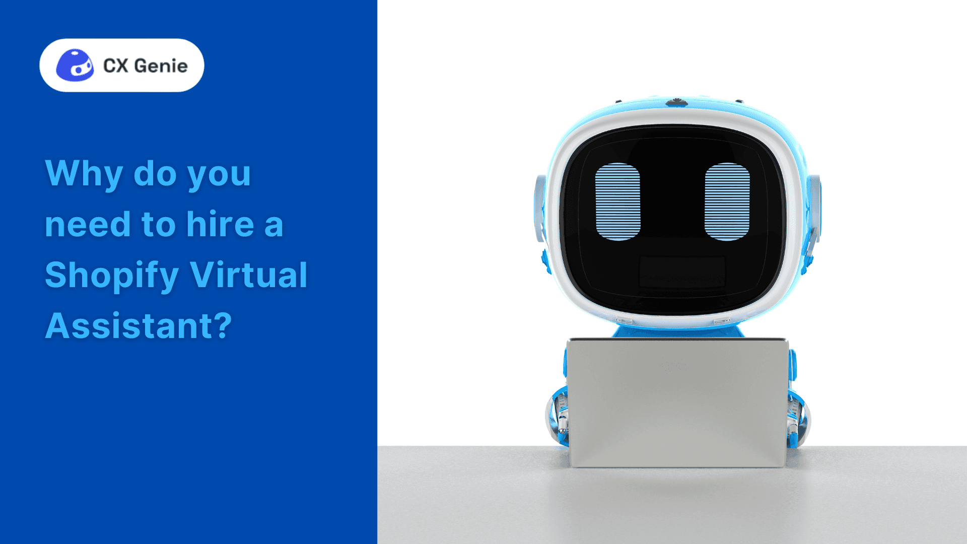 Why do you need to hire a Shopify Virtual Assistant?